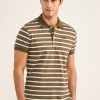 Polo En Jersey De Coton A Rayures
